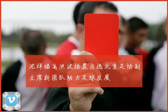 沈祥福高洪波杨晨当选北京足协副主席新团队助力足球发展