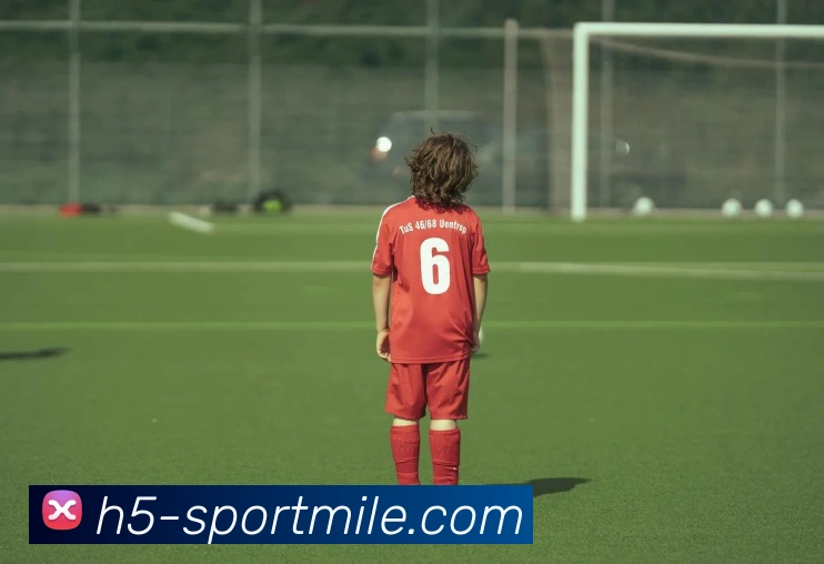 米乐体育全站App